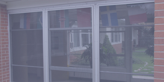Image hover effect image
